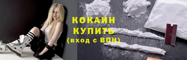 прущие грибы Верхний Тагил