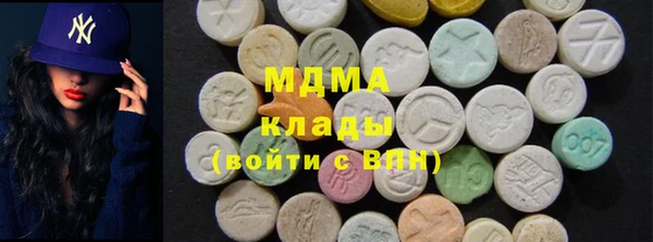 прущие грибы Верхний Тагил