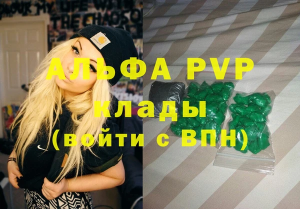 прущие грибы Верхний Тагил