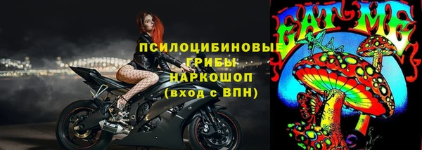 прущие грибы Верхний Тагил