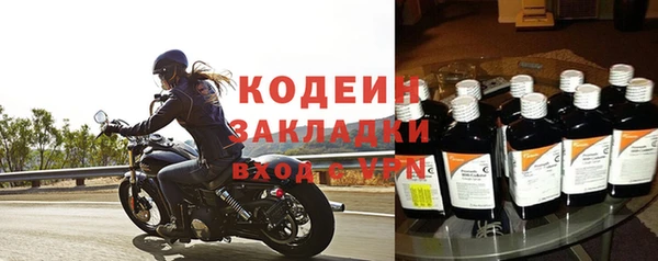 прущие грибы Верхний Тагил